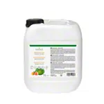 Massagelotion Mango-Melon, 5 l