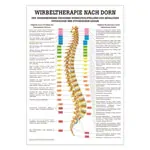 Mini-Poster - Dorn therapy - , LxW 34x24 cm