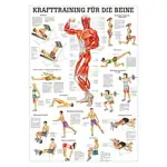 Mini-Poster Krafttraining Beine, LxB 34x24 cm