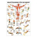 Mini-Poster Krafttraining Brust, LxB 34x24 cm