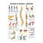 Mini Poster - Right and wrong for your back, - L x W 34x24 cm