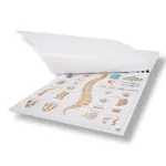 Mini Poster Set, 20 pieces