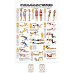 Mini-Poster - Spinal gymnastics - L x W 34x24 cm