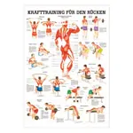 Mini Poster - Strength training for your back -, LxW 34x24 cm