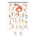 Mini Poster - Strength training for your shoulder -, LxW 34x24 cm