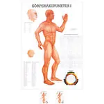 Mini-Poster - body acupuncture I - , LxW 34x24 cm
