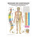 Mini-Poster - meridians and thorn - , LxW 34x24 cm