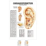 Mini Posters - ear acupuncture, - L x W 34x24 cm