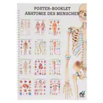 Mini poster booklet - Human anatomy - , LxW 34x24 cm, 12 posters