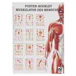 Mini poster booklet - human muscles - , LxW 34x24 cm, 12 posters