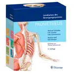 PROMETHEUS Anatomy Flashcards about musculoskeletal system, 400 cards