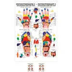 Poster - Reflex zones - , L x W 70x50 cm