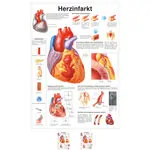 Poster - heart attack, - L x W 70x50 cm