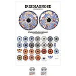 Posters - Iridology - , LxW 70x50 cm