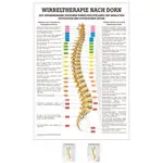 Posters - Spinal therapy Dorn - L x W 70x50 cm