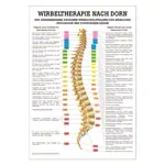 Posters - Spinal therapy Dorn - L x W 70x50 cm
