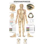Posters - body acupuncture - L x W 70x50 cm
