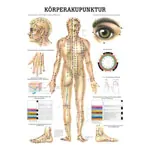 Posters - body acupuncture - L x W 70x50 cm