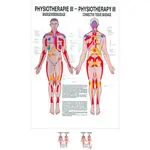Posters - connective tissue massage - L x W 70x50 cm