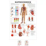 Posters - high blood pressure - , LxW 70x50 cm