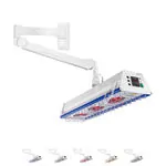 Red light emitters TGS Therm 3 wall model incl. dimmer