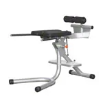 Sport-Tec rear torso lift