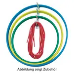 Suspension equipment for gymnastics hoop