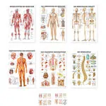 Teaching board set: 6 teaching boards, LxW 100x70 cm