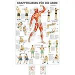 Teaching panel Krafttraining Arme, LxB 100x70 cm