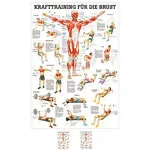 Teaching panel Krafttraining Brust, LxB 100x70 cm