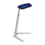 Variable standing aid Fin