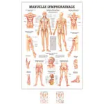 Wall chart - Manual Lymph Drainage - , LxW 100x70 cm