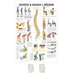 Wall chart - Right or wrong for your back, - LxW 100x70 cm