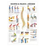 Wall chart - Right or wrong for your back, - LxW 100x70 cm