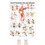 Wall chart - Strength training for your back -, LxW 100x70 cm