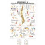 Wall chart - Stretching II - , LxW 100x70 cm