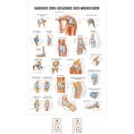 Wall chart - Tapes & joints - , LxW 100x70 cm