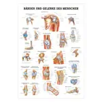 Wall chart - Tapes & joints - , LxW 100x70 cm