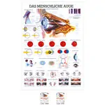 Wall chart - The Eye - , LxW 100x70 cm