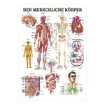 Wall chart - The human body - , LxW 100x70 cm