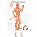 Wall chart - body acupuncture I - , LxW 100x70 cm