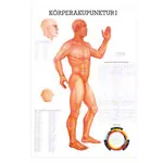 Wall chart - body acupuncture I - , LxW 100x70 cm