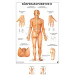 Wall chart - body acupuncture II, - LxW 100x70 cm