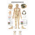 Wall chart - body acupuncture, - LxW 100x70 cm
