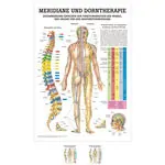 Wall chart - meridians and thorn - , LxW 100x70 cm