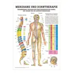 Wall chart - meridians and thorn - , LxW 100x70 cm