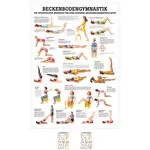 Wall chart - pelvic floor exercises, - LxW 100x70 cm