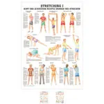 Wall chart - stretching I - , LxW 100x70 cm