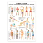 Wall chart - stretching I - , LxW 100x70 cm