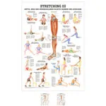 Wall chart - stretching III - , LxW 100x70 cm